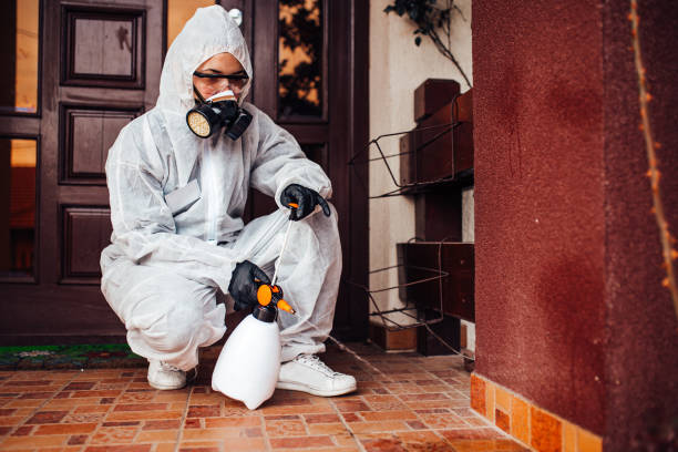 Reliable Cockroach Control contractor in Manti, UT by Nex Pest Control